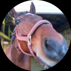 Meet your Posher, Sydney